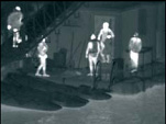 pharos-d-work-1.jpg (7741 bytes)