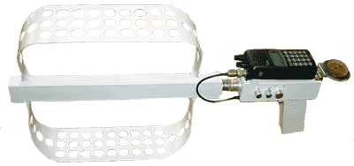 SCAN + IC-R10